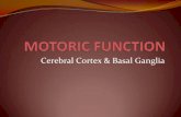 (I.4) Fungsi Motorik.pdf