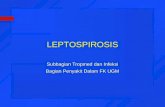 Leptospirosis kuliah