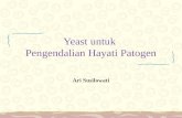 07.Yeast untuk Pengendalian Hayati Patogen.ppt