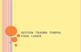Review Trauma Tumpul