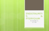 endotalmitis & pterygium
