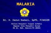 4. Malaria