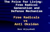 Anti Oksidan vs Free Radicals