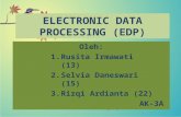 Teknik Audit Electronic Data Processing (Edp)