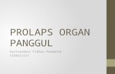 Prolaps Organ Panggul Fidhya