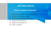 Sistem Imun.ppt Kmb 3