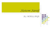 Anfis System Syaraf 2