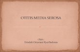 Erind Otitis Media Serosa