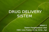 P-1 Drug Delivery Sistem