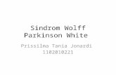 Sindrom Wolff Parkinson White Nia