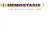 Hemostasis & Laboratorium (Kbk)