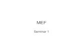 MEF Seminar 1