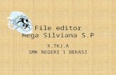 File editor mega