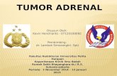 Referat Tumor Adrenal