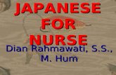 Japanese 4 Nurse