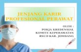 Jenjang Karir Profesional Perawat
