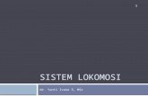 02. B10 12 Sistem Lokomosi
