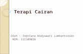 Terapi Cairan Indriana-print[1]