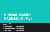 Mineral Makro Magnesium (Mg)