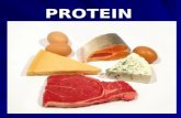 Gizi3a Protein Ppt
