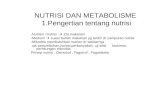 Nutrisi Dan Metabolisme