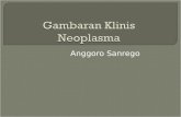 Gabaran Klinis CA Mammae Anggo