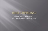 Hirsch p Rung