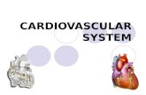 Cardiovaskular System