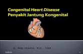 INTERNA dr. B. Rudi Utantio - CHD_Congenital Heart Disease 2.ppt