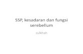 SSP, kesadaran dan fungsi serebellum.pdf
