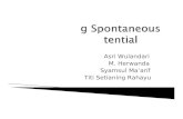 Log Spontaneous Potential (SP)
