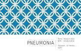 Pneumonia Ppt Raisa