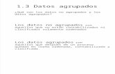 1.3_Datos Agrupados y No Agrupados.pptx