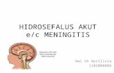 hidrosefalus e/c meningitis