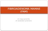 FIBROADENOMA MAMAE