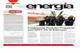 Energia Weekly Feb213