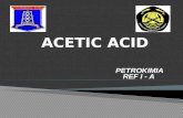 Acetic Acid Presentation 3