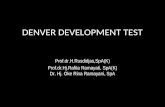 3 Denver Development Test1 33