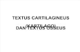 CARTILAGO DAN OSSEUS.pdf