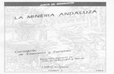 Geologia Minerales Minas (Libro Blanco De La Mineria Andaluza).pdf