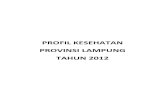 08 Profil Kes Prov.lampung 2012
