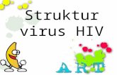 Struktur Virus HIV