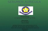 Serumen Auricula Dextra (Case Report) Fix