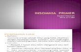 Insomnia Primer