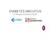 Presentasi Diabetes Mellitus(1)