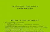 2.Budidaya Tanaman Hortikultura