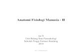 Anfisman - II Chapter 1.pdf