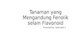 Tanaman Yang Mengandung Fenolik Selain Flavonoid