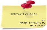 92505698 Penyakit Chagas