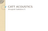 Catt Acoustics